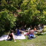 Gemeinsames Entspannen in der Sonne