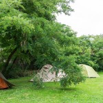 Aufgebaute Zelte auf der Wiese