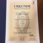 Urkunde 1. Platz ASA-FF für das Projekt "Unentdeckte Nachbarn" beim Chemnitzer Friedenspreis 2017
