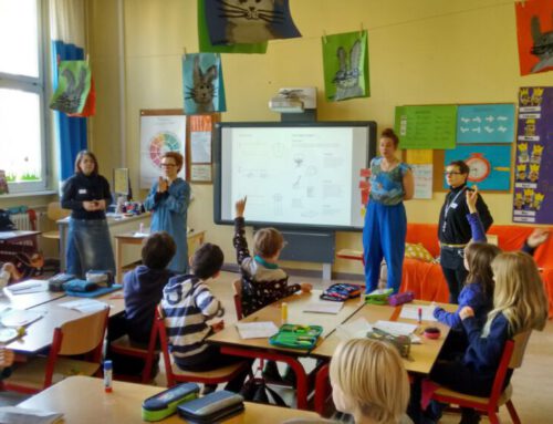 Wächst Kleidung auf Bäumen?