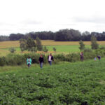 Besuch bei der CSA Sehlis Aktivistinne und Aktivisten mit Kleinkindern auf einem Feld beim Besuch der CSA Sehlis