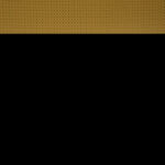 Viele Zettel mit Begriffen darauf zum Thema Rassismus kleben an der Wand