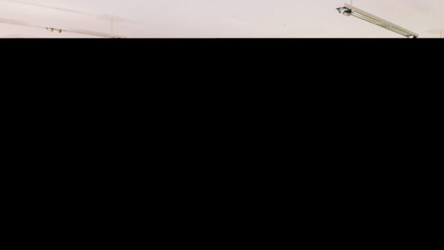 Große Gruppe schaut sich eine Ausstellung an im hell erleuchteten Ausstellungsraum